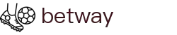 BETWAY·必威(西汉姆联)官方网站-West Ham United